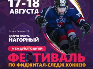 Международный фестиваль по фиджитал-следж-хоккею в Нижнем! 